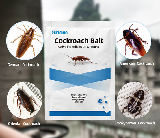 Cockroach Bait