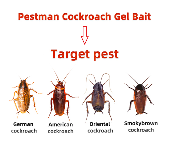 Cockroach Gel Bait