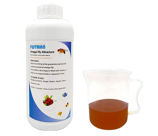 Vinegar Fly Attractant