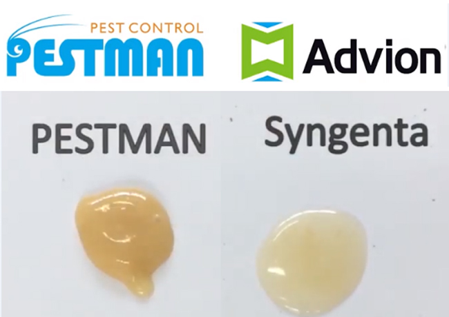 The contrast test between Pestman cockroach gel bait and Advion cockroach gel bait