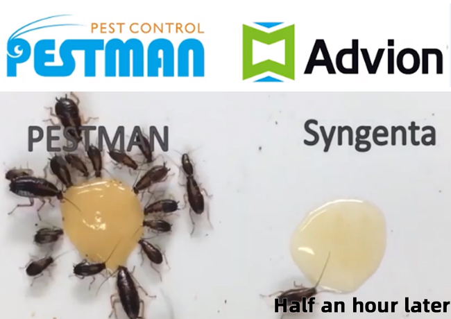 The contrast test between Pestman cockroach gel bait and Advion cockroach gel bait