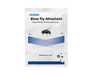 Blow Fly Attractant