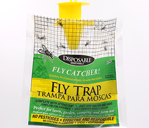 Fly Trap