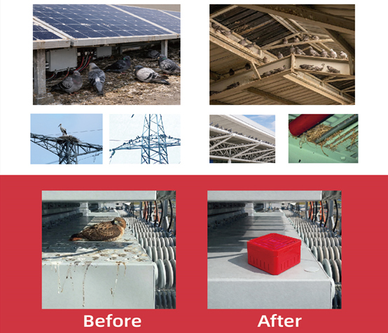 Pestman Bird Repellent Block- Global Delivery to Your Door – The best bird control solution for Steel structures buildings, Steel beams, Hangars, Transmission towers, Substations, Solar panels