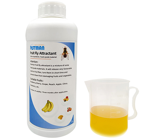 how to make fly attractant