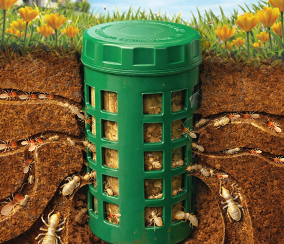 Pestman In-ground Termite Bait Station – Global Delivery to Your Door – Supply for Integrated Termite Management (ITM) programs