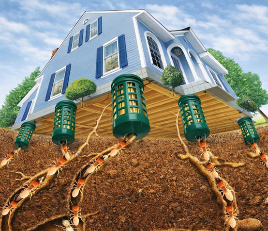 Pestman In-ground Termite Bait Station – Global Delivery to Your Door – Supply for Integrated Termite Management (ITM) programs