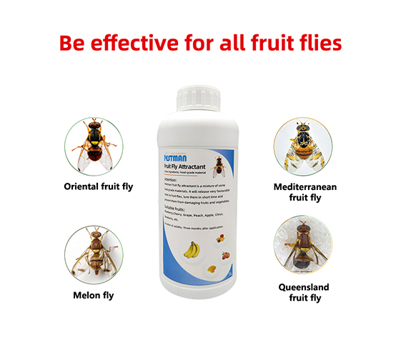 Pestman Fruit Fly Attractant