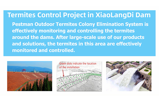 Termites Colony Elimination System