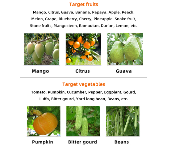 Fruit Fly Attractant