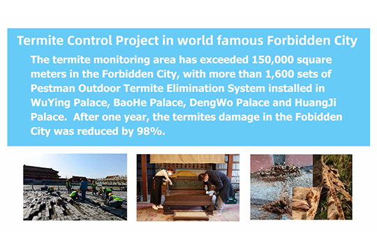 Termites Colony Elimination System