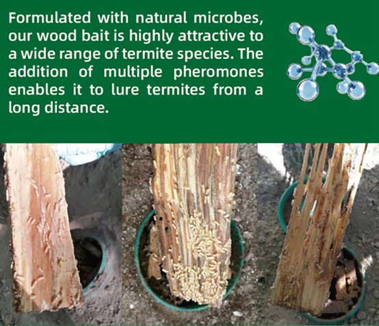 Pestman In-ground Termite Bait Station – Global Delivery to Your Door – Supply for Integrated Termite Management (ITM) programs