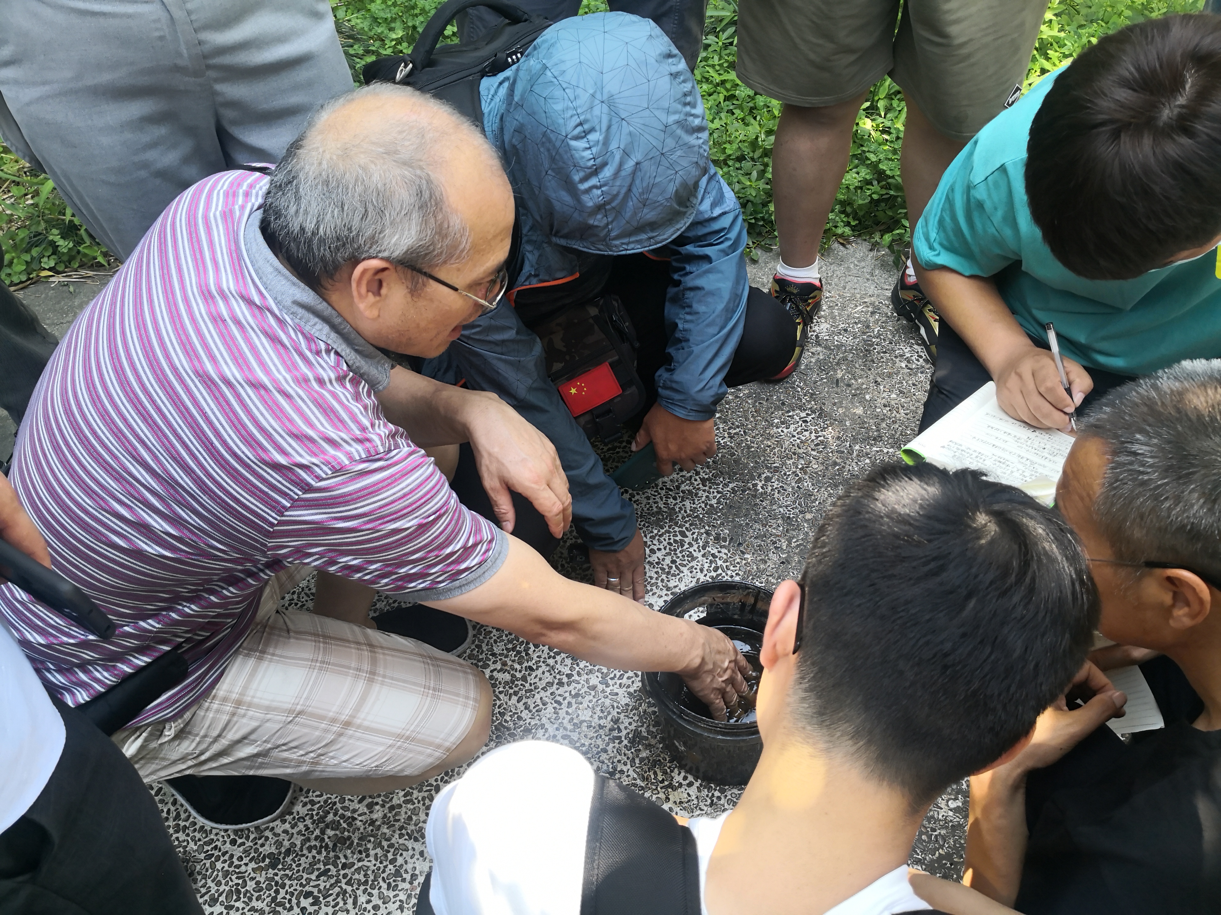 On-site training for mosquito and fly-free communities