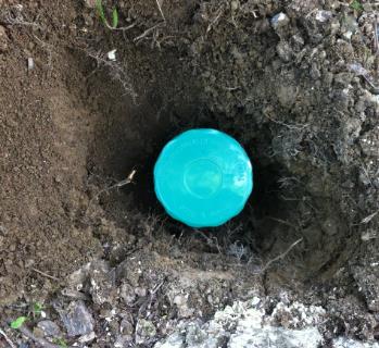 You will win if you start the soil treatment for termites