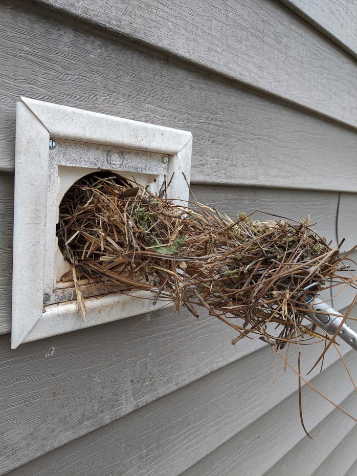 How to remove birds from vents
