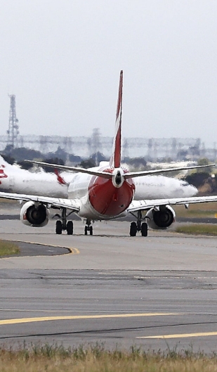 Petman bird repellent: Key to controlling birds at airports