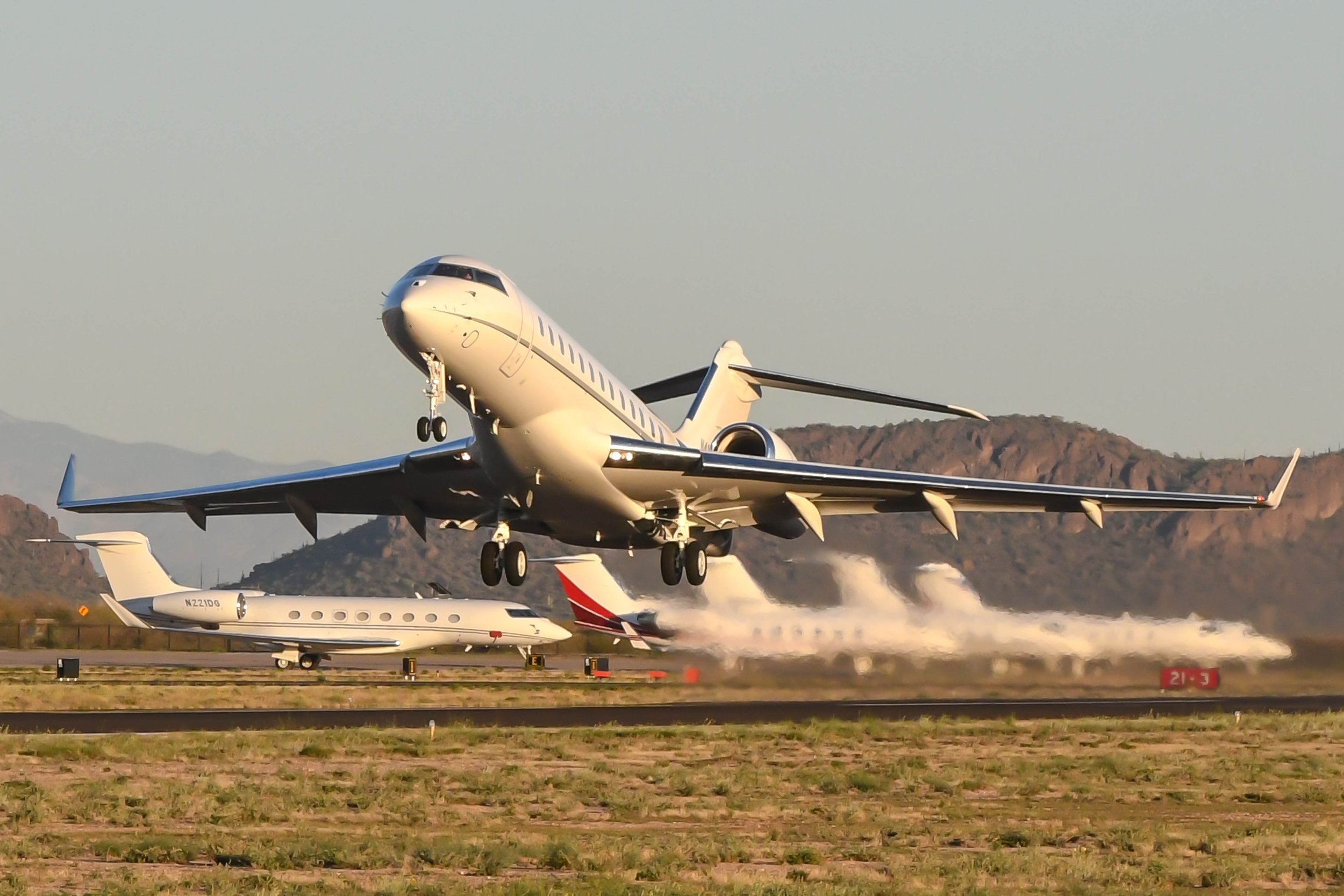 Pestman Bird Repellent: Keep birds from using airports as habitats