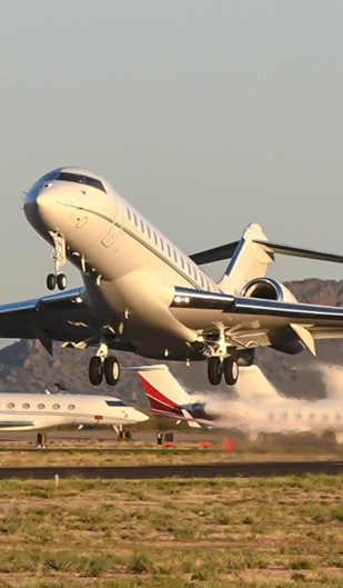 Bird control problems: Airport