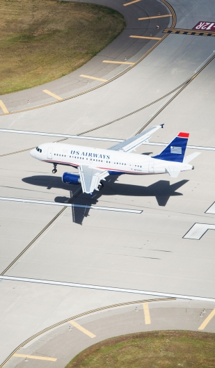 How To Keep Birds From Eating Grass Seed At Airport？