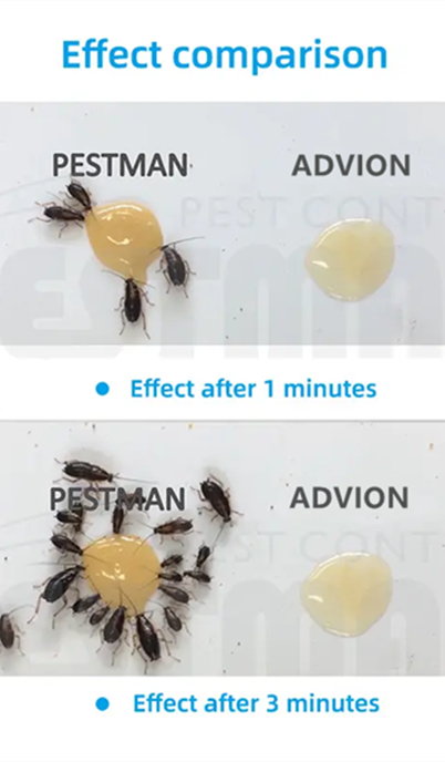 Pestman Cockroach Gel bait VS Advion Cockroach Gel Bait