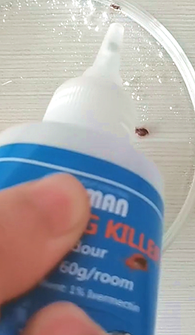 Effect test video of Pestman bedbug killer powder
