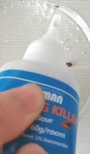 Effect test video of Pestman bedbug killer powder