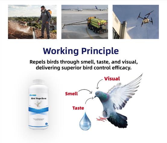 Pestman Bird Repellent Ultra – Global Delivery to Your Door – The best bird repellent product for Large Facilities & Areas