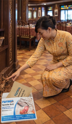 Case: Malaysian Nyonya Restaurant Battles Termite Invasion with Pestman Termite Bait