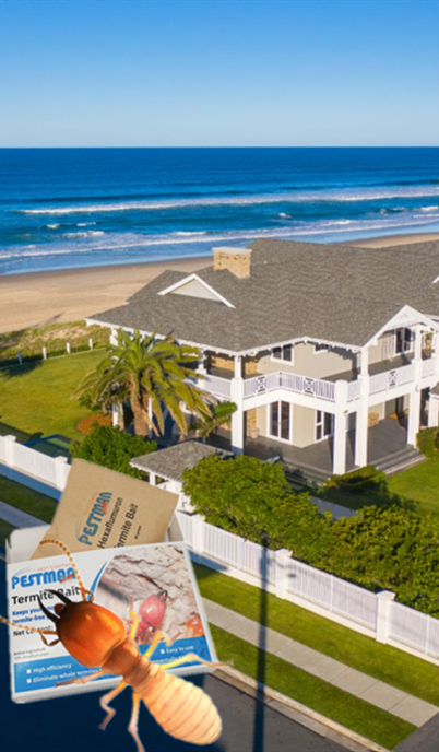 Case: Gold Coast Holiday Home Brings Termite Colony Under Control with Pestman Termite Bait
