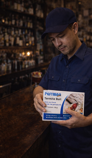Case: Jakarta Lounge Bar Solves Termite Problem with Pestman Termite Bait