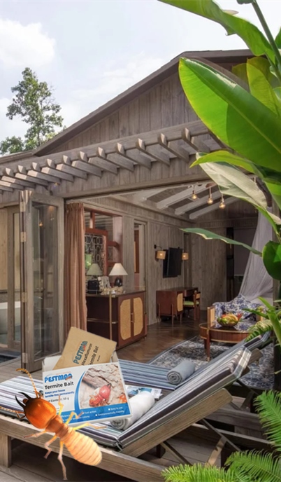 How a Silent Termite Invasion Nearly Undermined a Ho Chi Minh City Resort — and How It Was Stopped Without Anyone Noticing by Pestman Termite Bait