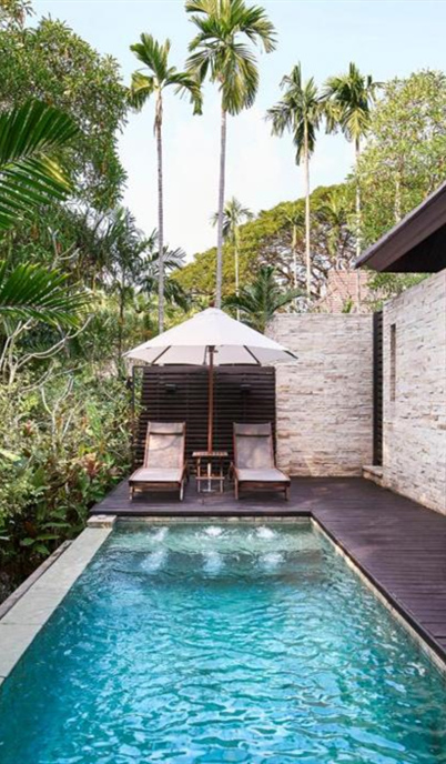 Pestman Termite Bait: How a Pattaya Resort Turned a Silent Threat into a Lesson in Crisis Control