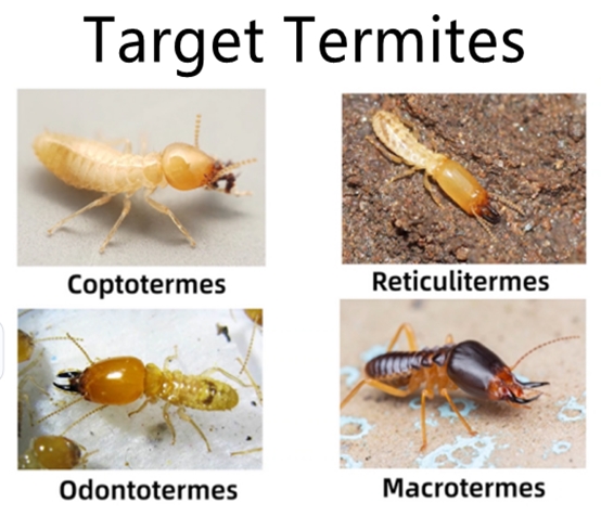 Pestman Hexaflumuron Termite Bait – Global Delivery to Your Door – Supply for Pest Control Companies, Wholesalers, Online Sellers, and Retailers.