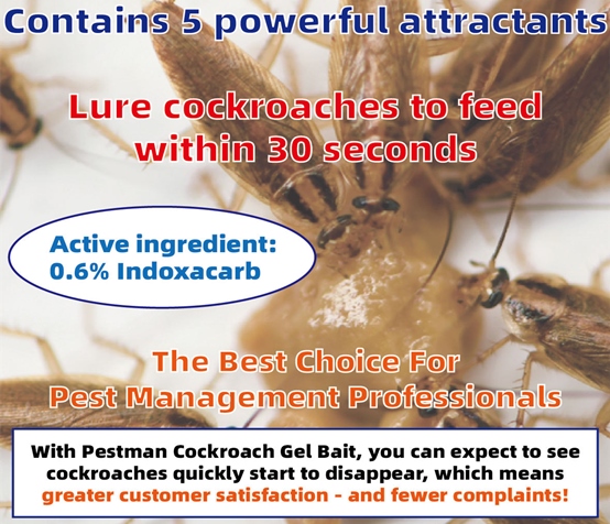 Pestman Cockroach Gel Bait (30g*4)- Global Delivery to Your Door – Supply for Pest Control Companies, Wholesalers, Online Sellers, Distributors and Retailers