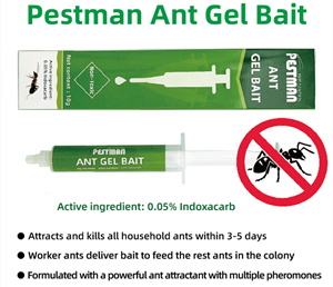 Pestman Ant Gel Bait (10g)- Global Delivery to Your Door – Supply for Wholesalers, Online Sellers, Distributors and Retailers