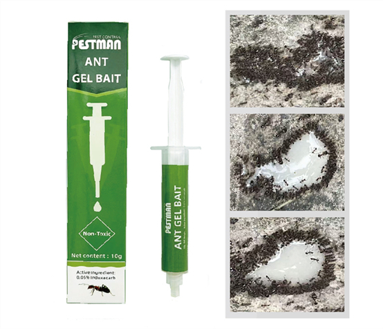 Pestman Ant Gel Bait (10g)- Global Delivery to Your Door – Supply for Wholesalers, Online Sellers, Distributors and Retailers