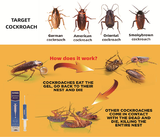 Pestman Cockroach Gel Bait (10g)- Global Delivery to Your Door – Supply for Wholesalers, Online Sellers, Distributors and Retailers