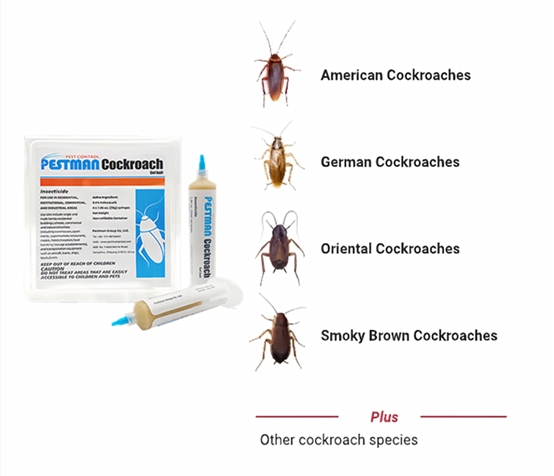 Pestman Cockroach Gel Bait (30g*4)- Global Delivery to Your Door – Supply for Pest Control Companies, Wholesalers, Online Sellers, Distributors and Retailers